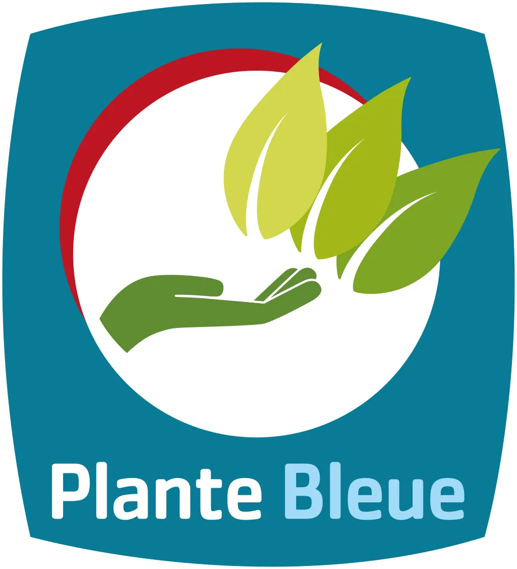 Plante Bleue